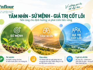 VISION - MISSION - CORE VALUES