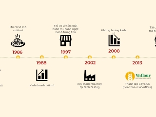 HISTORY OF FORMATION