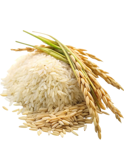 BROKEN RICE